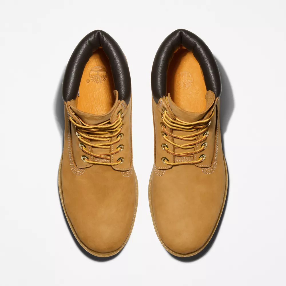 Timberland MUŠKE 6-INCH ČIZME PREMIUM WATERPROOF