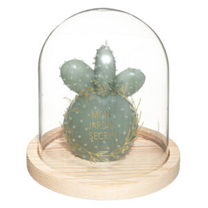 SVIJEĆA KAKTUS U STAKLENOM ZVONU 14×15,5 cm