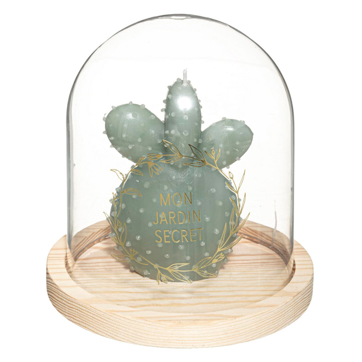 SVIJEĆA KAKTUS U STAKLENOM ZVONU 14×15,5 cm